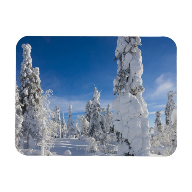 Vinterlandskap i Lappland Magnet (Horisontell)