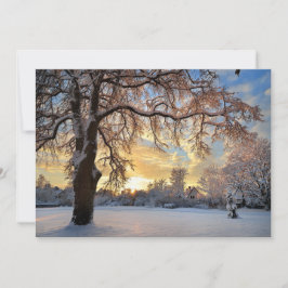 Vinterlandskap i Lettland