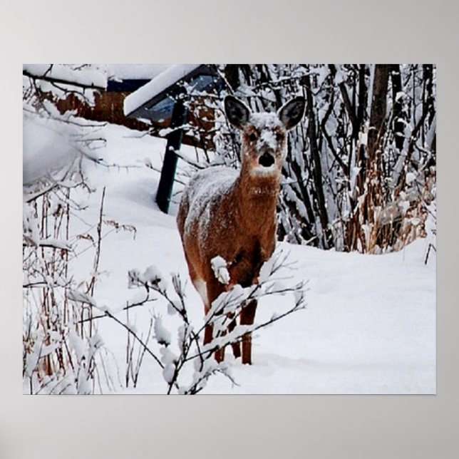 Vinterlandskap med hjortvärdeaffischpapper poster (Framsidan)