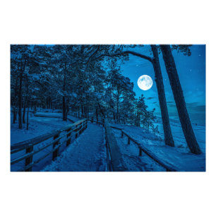 Vinterlandskap med snö täckt gräs-skog fototryck