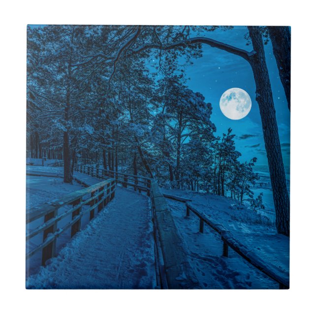 Vinterlandskap med snö täckt gräs-skog kakelplatta (Framsidan)