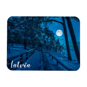 Vinterlandskap med snö täckt gräs-skog magnet