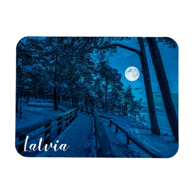 Vinterlandskap med snö täckt gräs-skog magnet (Horisontell)