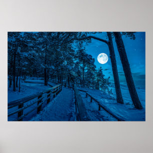 Vinterlandskap med snö täckt gräs-skog poster
