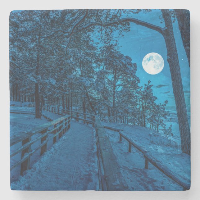 Vinterlandskap med snö täckt gräs-skog stenunderlägg (Framsidan)