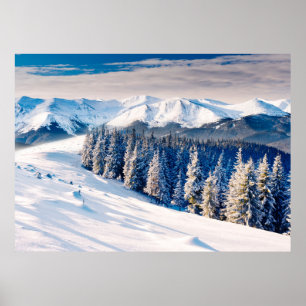 Vinterlandskap med snö täckt träd poster