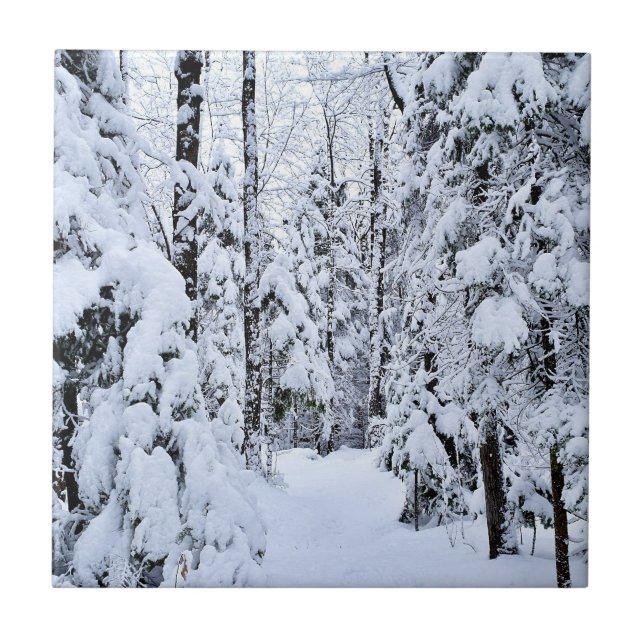 Vinterlandskap Snö i skog Kakelplatta (Framsidan)