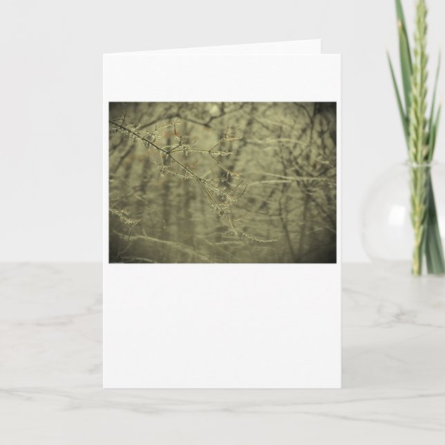 Vinterlås, kort (Framsida)