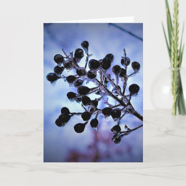 Vinterlås, kort (Framsida)