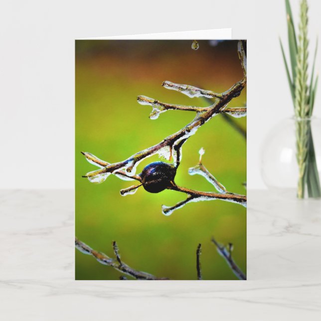 Vinterlås, kort (Framsida)