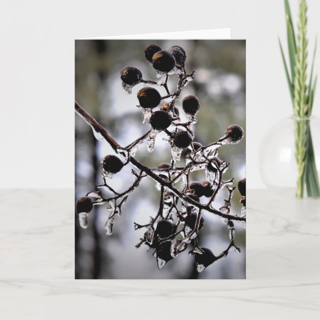 Vinterlås, kort (Framsida)