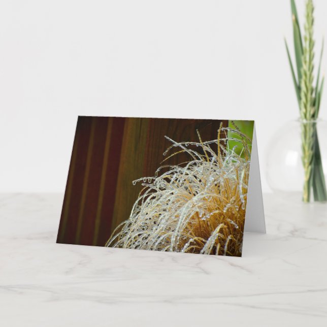 Vinterlås, kort (Framsida)