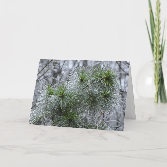 Vinterlås, kort (Framsida)