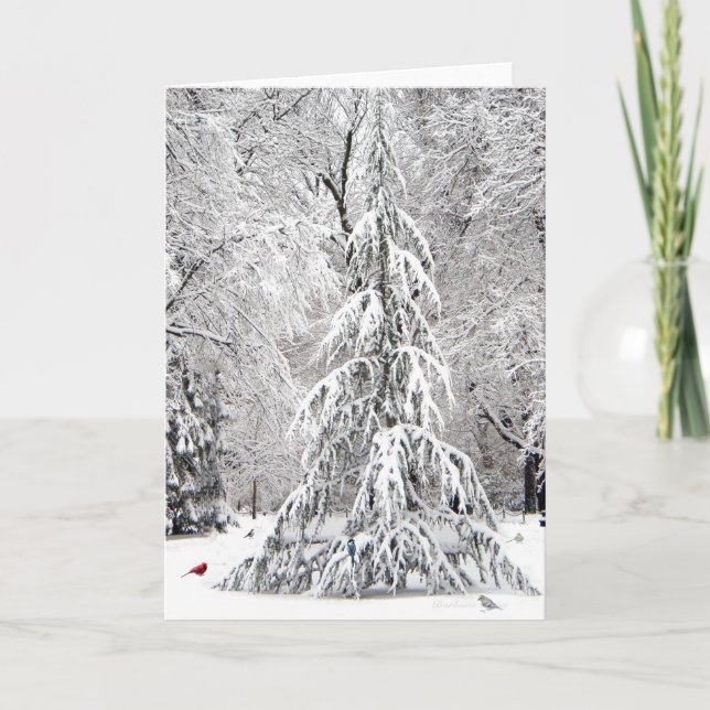 Vinterledighetskort: Boston Public Garden-parken Helgkort (Framsida)