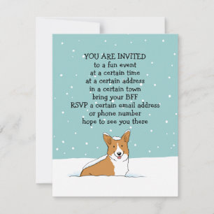 Vinterledigt Corgi-fest Tillkännagivanden