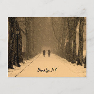 Vinterlig Brooklyn Vykort