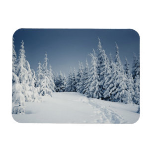 Vinterliggande Magnet