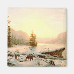 Vinterliggande Magnet