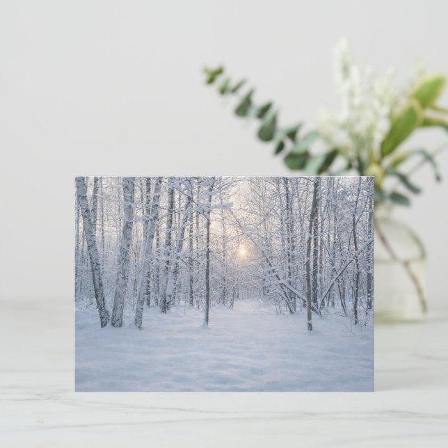 Vinterljus i tyst björkskog tilläggskort (Stående Fram)