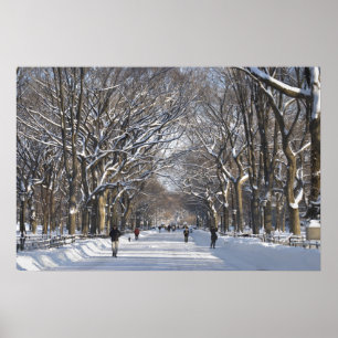 Vintermall Central Park Poster