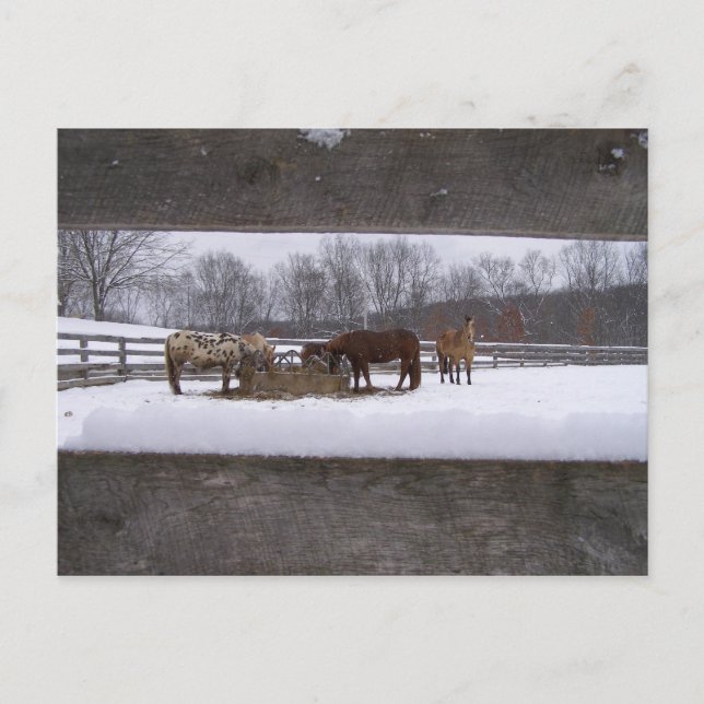 Vintermåls vykort (Framsida)