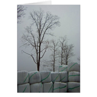 Vintermorgon 5x7 hälsningskort