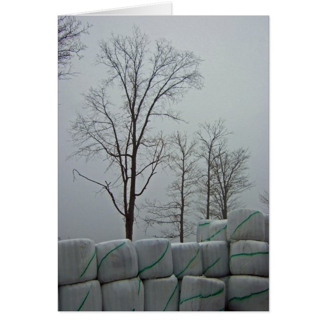 Vintermorgon 5x7 hälsningskort (Framsidan)