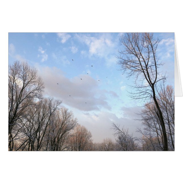 Vintermorgon I Hälsningskort (Framsidan Horizontal)