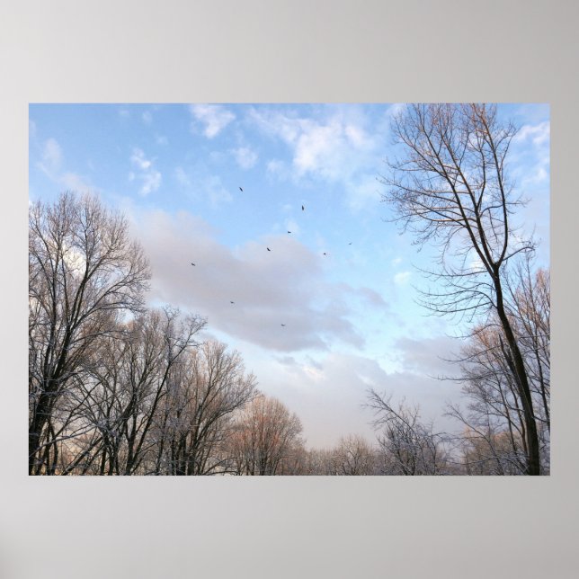 Vintermorgon I Poster (Framsidan)