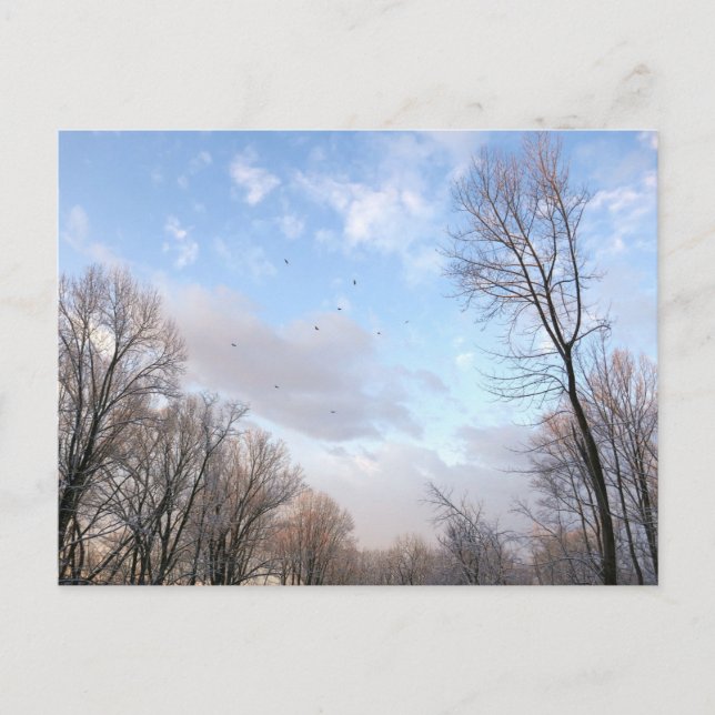 Vintermorgon I Vykort (Framsida)