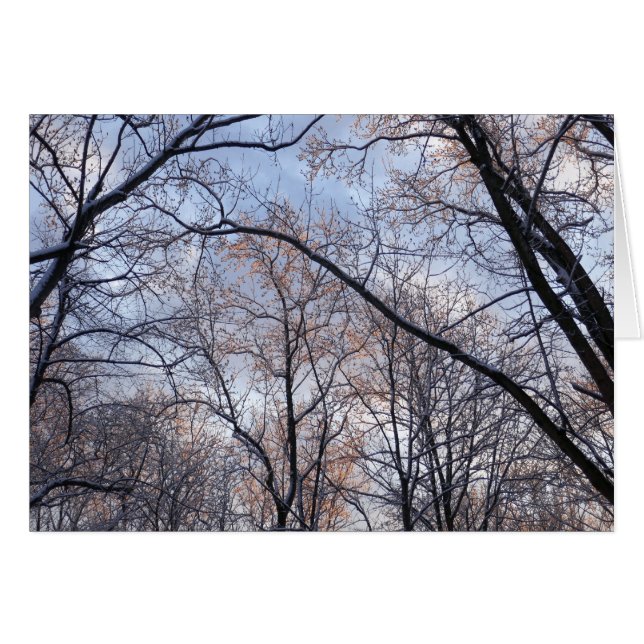 Vintermorgon II Natur liggande Hälsningskort (Framsidan Horizontal)