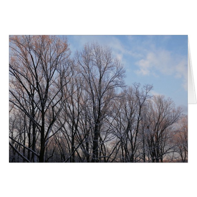 Vintermorgon III Natur liggande Hälsningskort (Framsidan Horizontal)