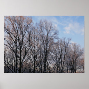 Vintermorgon III Natur liggande Poster