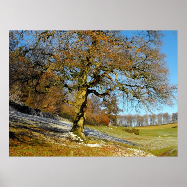 Vintermorgon Poster (Framsidan)