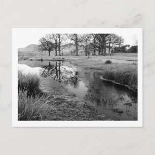 Vintermorgon: Strandshag Bay, Derwentwater Vykort