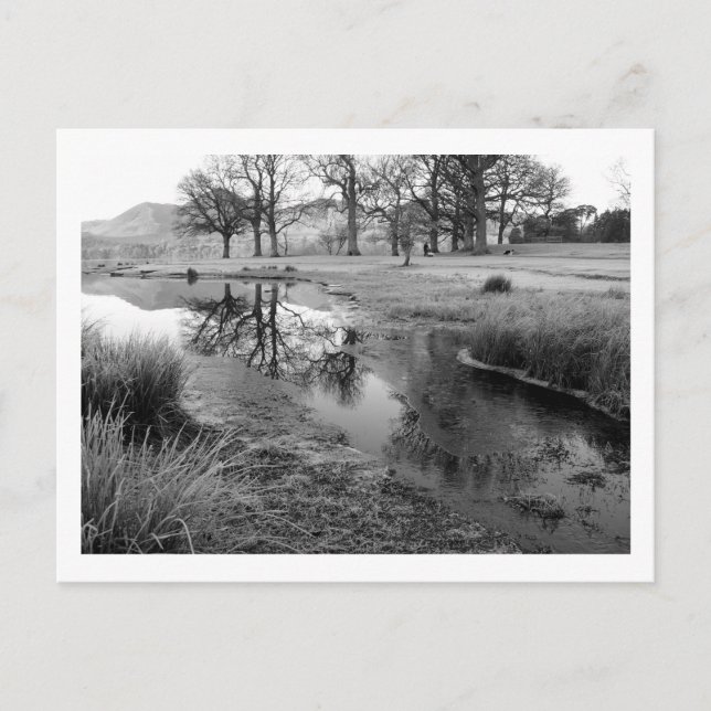 Vintermorgon: Strandshag Bay, Derwentwater Vykort (Framsida)