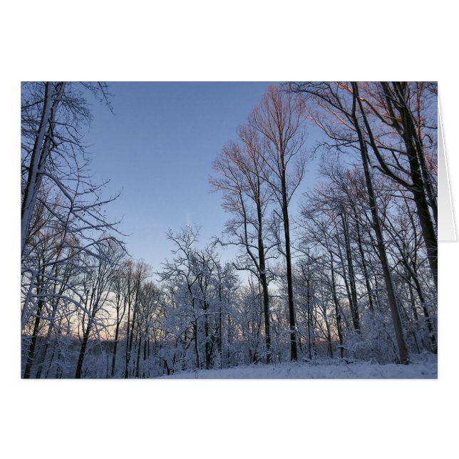 Vintermorgonljus I Hälsningskort (Framsidan Horizontal)