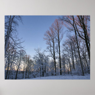 Vintermorgonljus I Poster