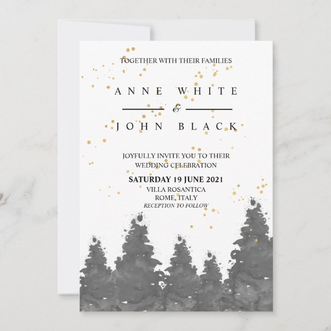 Vintermotiv Inbjudningar (Framsida)