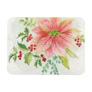 Vintern blommar rosa blomma julstjärna magnet