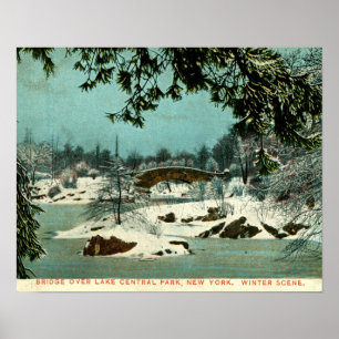 Vintern Cemtral parkerar, New York City vintage Poster