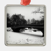 Vintern Centeral parkerar NYC.