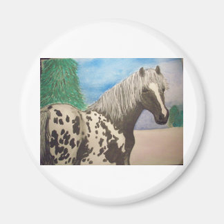 Vintern i Appaloosa Magnet