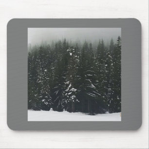 Vintern i bergsskogen, Oregon Musmatta