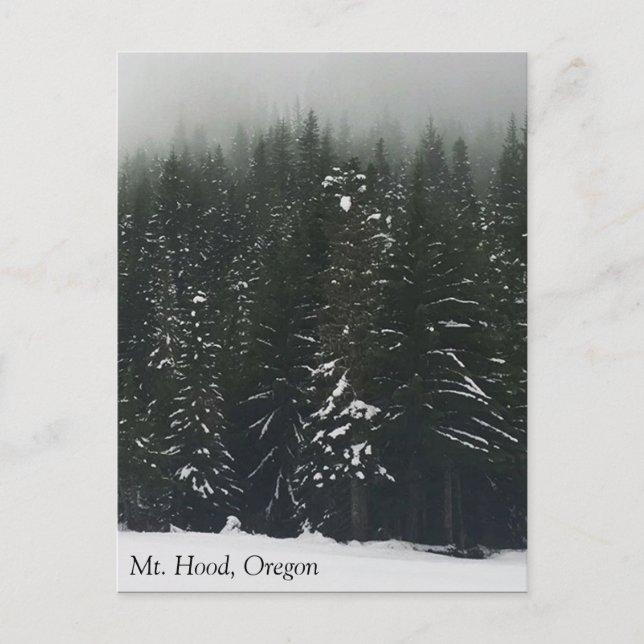 Vintern i bergsskogen, Oregon Vykort (Framsida)