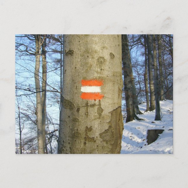 Vintern i flagga vykort (Framsida)