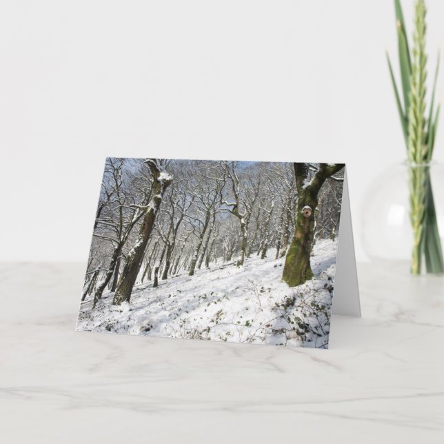 Vintern i Macclesfield Forest Kort (Framsida)