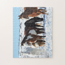 Vintern i Sand Tvätta Basin