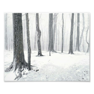Vintern i Skogen Fototryck