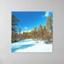 Vintern i sluttningen av den finska tomten